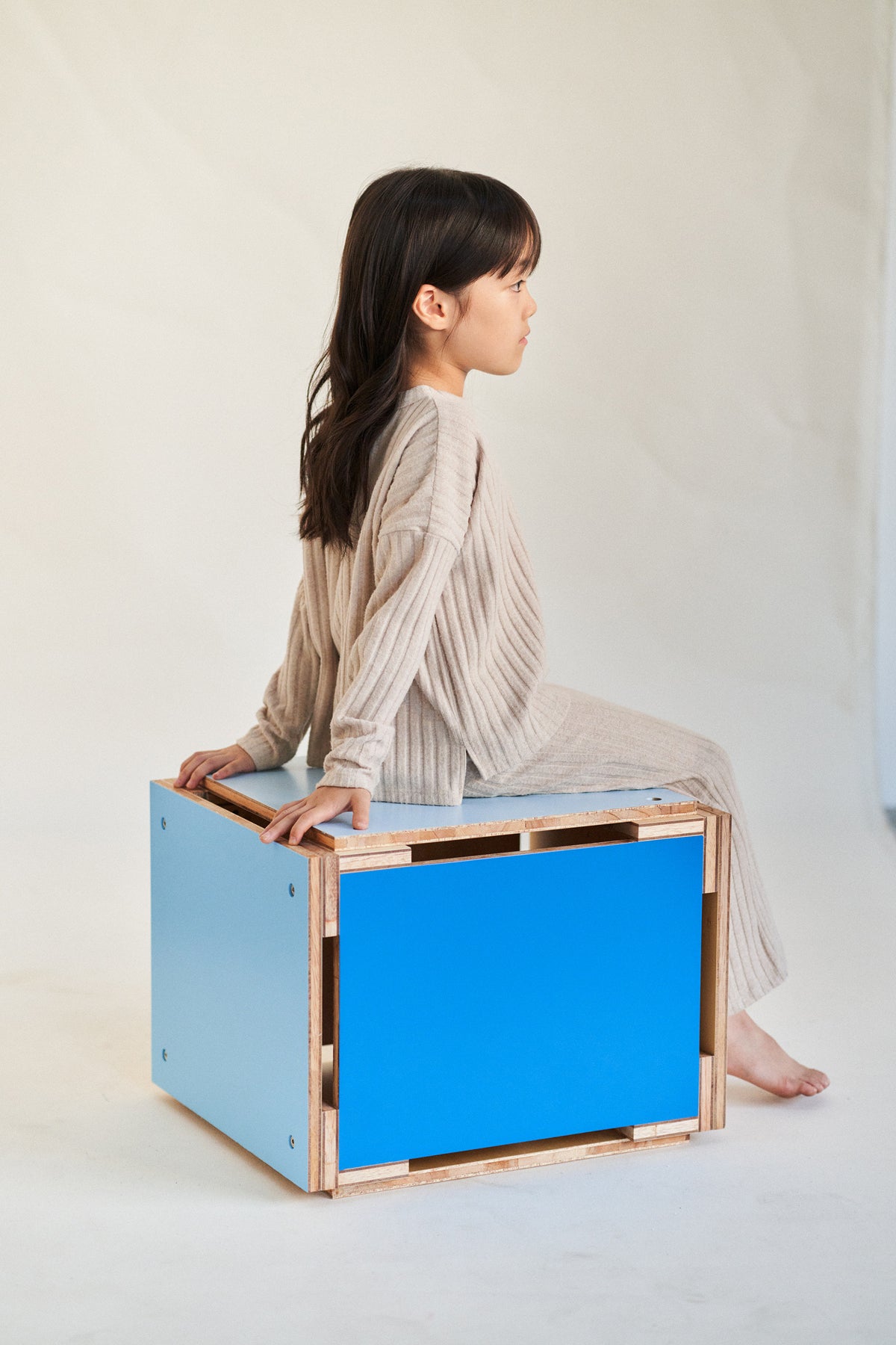 Ramsey’s Step or Stool or Side Table